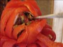 Пошаговое фото рецепта «Закуска Летние цветы»