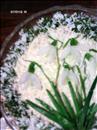 Пошаговое фото рецепта «Салат Пробуждение весны»