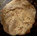 Пошаговое фото рецепта «Пирожные Космолёт»