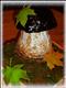 Фото-рецепт «Торт Осень.... грибная пора»
