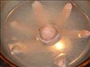 Пошаговое фото рецепта «Морской осьминожек»