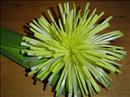 Пошаговое фото рецепта «Цветок из лука-порея»
