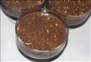 Пошаговое фото рецепта «Шоколадно-ореховый десерт»
