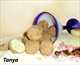 Фото-рецепт «Конфеты шарики из сухой молочной смеси»
