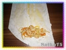 Пошаговое фото рецепта «Роллы по-китайски»