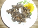 Пошаговое фото рецепта «Салат с рыбой и грибами»