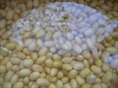 Пошаговое фото рецепта «Соевые бобы в сливках с грибами»