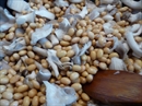 Пошаговое фото рецепта «Соевые бобы в сливках с грибами»