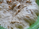 Пошаговое фото рецепта «Ореховый хлеб с курагой»