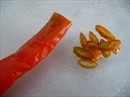 Пошаговое фото рецепта «Сальса из киви»