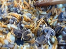 Пошаговое фото рецепта «Картофельные колобки с зажаркой из грибов»
