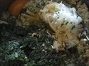Пошаговое фото рецепта «Рисовая запеканка с сёмгой и спаржевой фасолью»