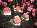 Фото-рецепт «Тосты с красной рыбой Цветочки»