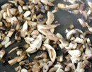 Пошаговое фото рецепта «Говядина тушёная с грибами в вине»