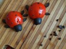 Пошаговое фото рецепта «Помидорные оладушки»